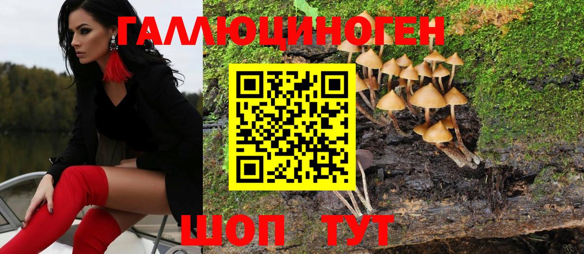 Псилоцибиновые грибы Magic Shrooms  Вход с VPN  Галлюциногенные грибы мухоморы  Ртищево 