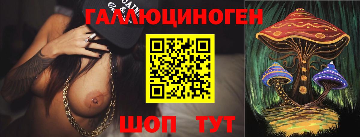Галлюциногенные грибы Psilocybe Ртищево